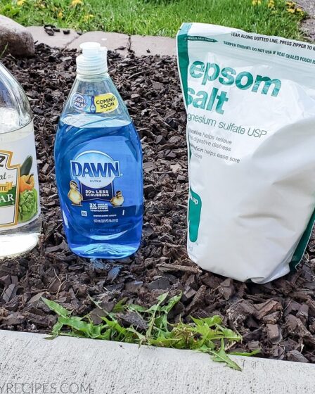 How To Permanently Kill Grass And Weeds With Salt, Vinegar And Dawn ...
